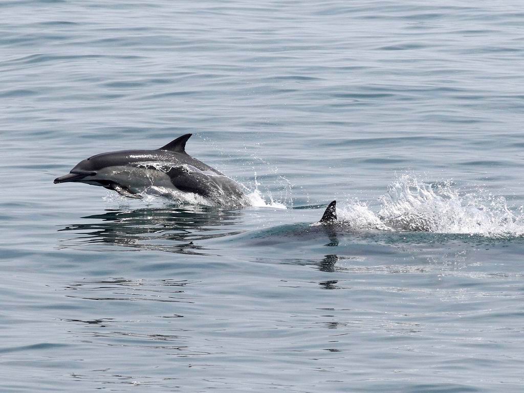 企業宣傳片制作的洪荒之力