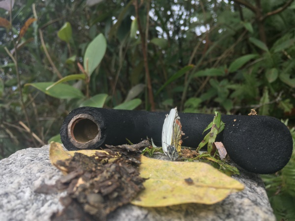 你在故宮修文物,我在紅瓜子拍企業(yè)宣傳片 你在故宮修文物,我在紅瓜子拍企業(yè)宣傳片