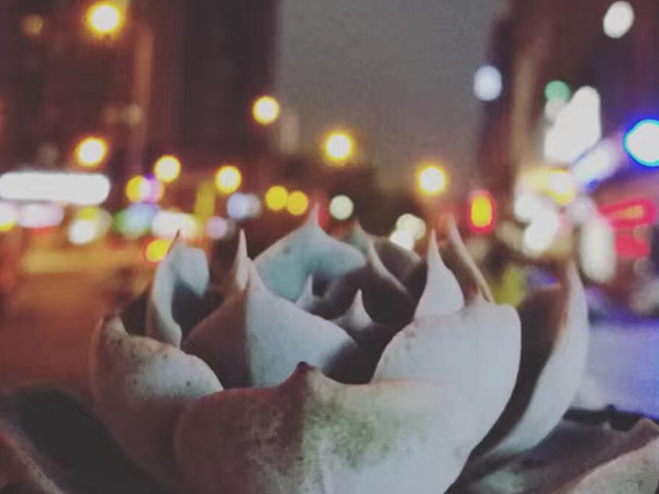 假如我有3天時間-我愿意留住企業(yè)宣傳片制作最美的瞬間 假如我有3天時間-我愿意留住企業(yè)宣傳片制作最美的瞬間