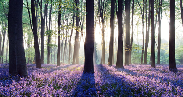 常見的房地產3D動畫制作案例有哪些？