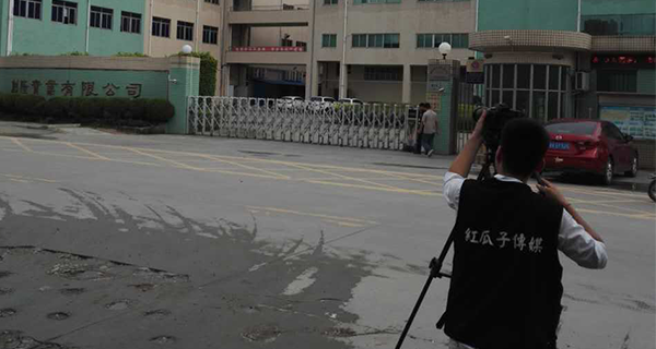 紅瓜子傳媒_苗柏企業宣傳片拍攝_視頻制作