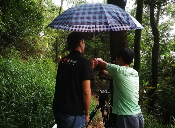 微電影營銷明顯優勢